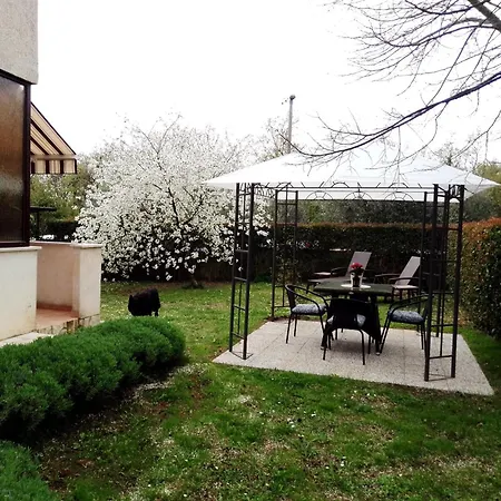 Irena Arvaj Apartment