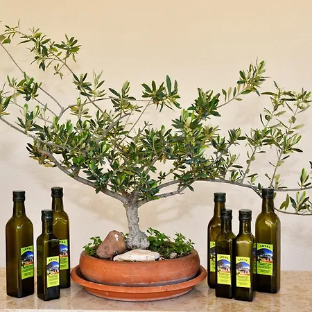 Irena Arvaj 波雷奇