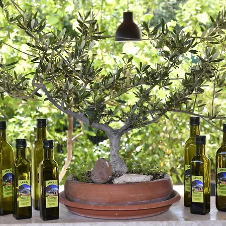 公寓 Irena Arvaj *