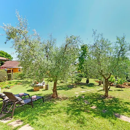 Apartman Irena Arvaj